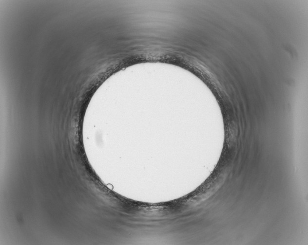 X0000111250497200908131210