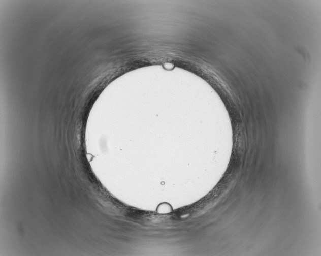 X0000111250501200908131210