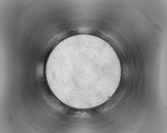 X0000111250502200908131210