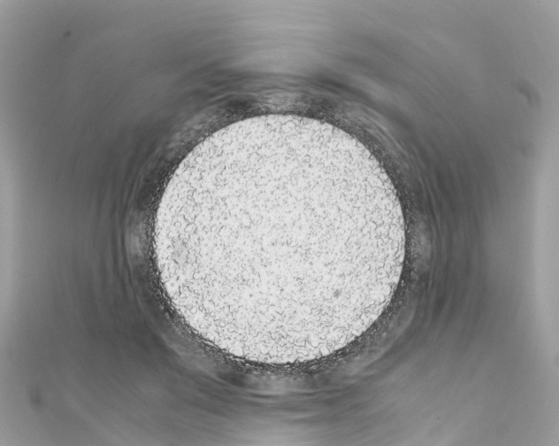 X0000111250503200908131210