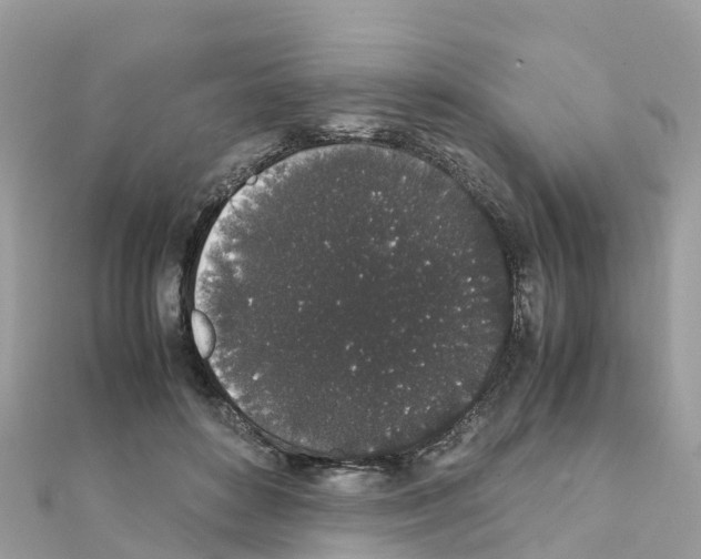 X0000111250504200908131210