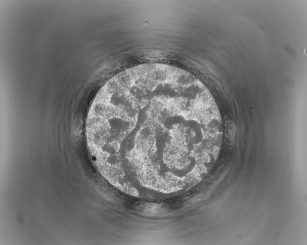 X0000111250507200908131210