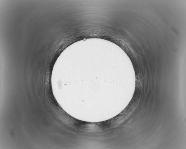 X0000111250509200908131210