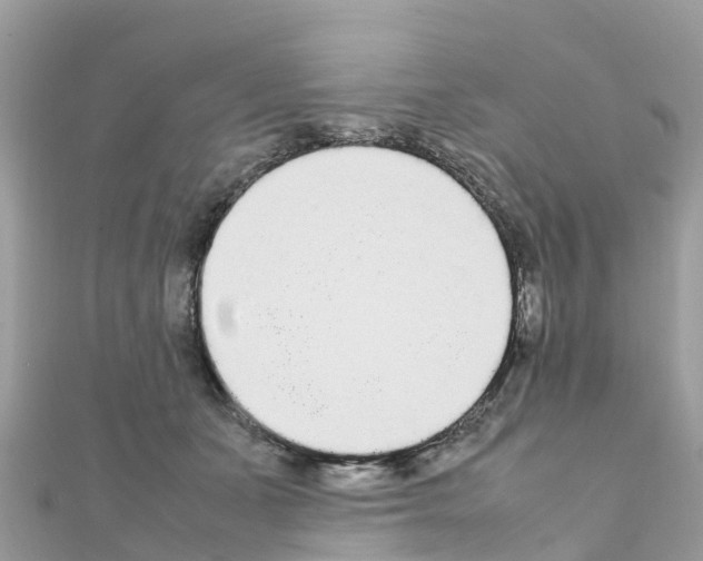 X0000111250511200908131210