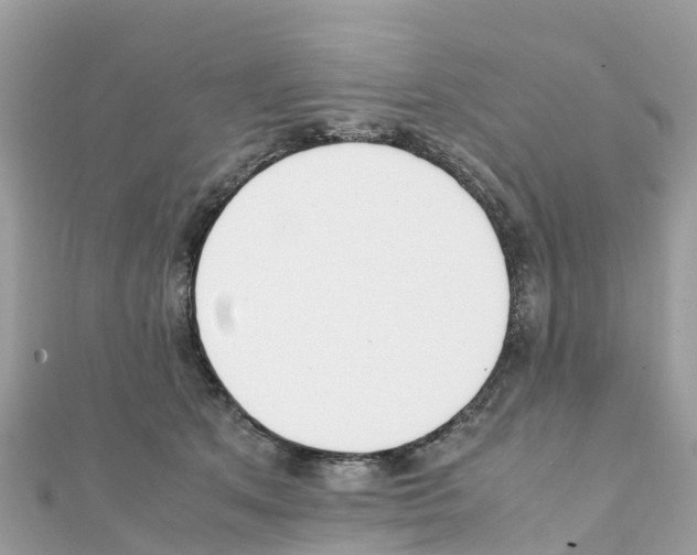 X0000111250513200908131210