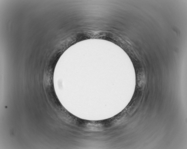 X0000111250515200908131210