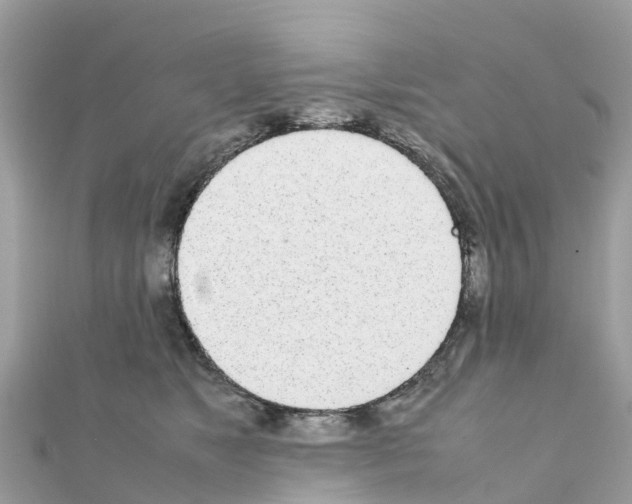 X0000111250517200908131210