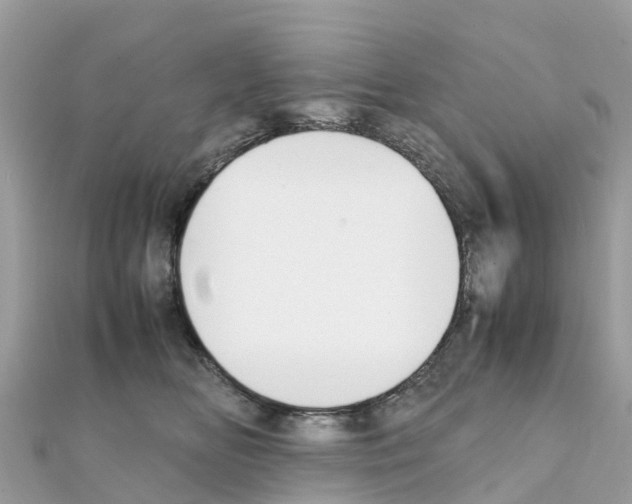 X0000111250518200908131210