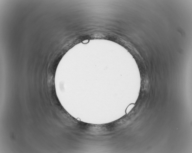 X0000111250521200908131210