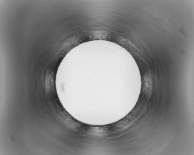 X0000111250522200908131210