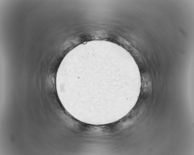 X0000111250523200908131210