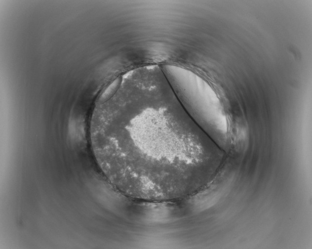 X0000111250524200908131210