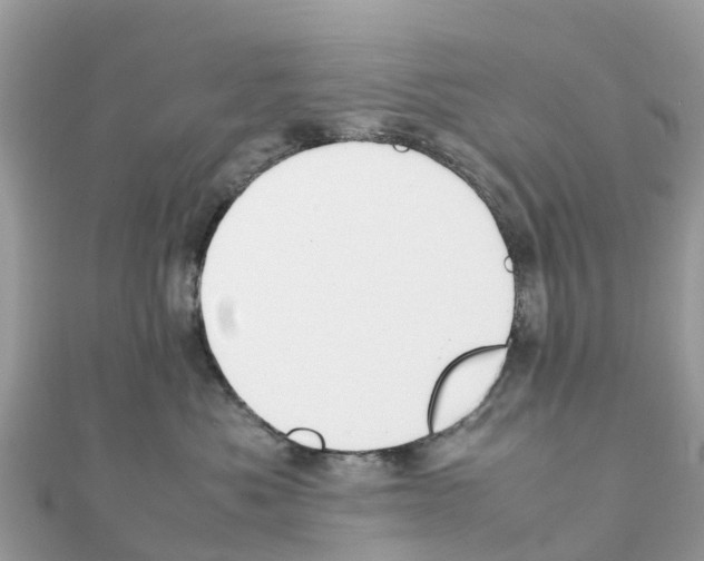 X0000111250525200908131210