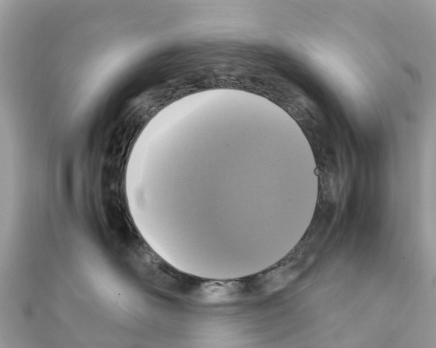 X0000111250526200908131210