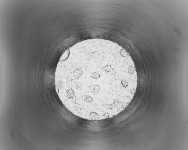 X0000111250527200908131210