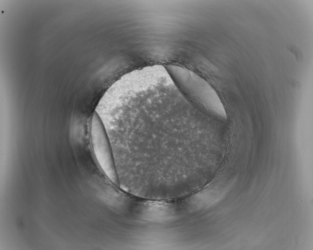 X0000111250528200908131210