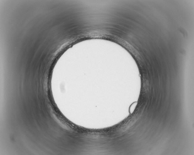 X0000111250530200908131209