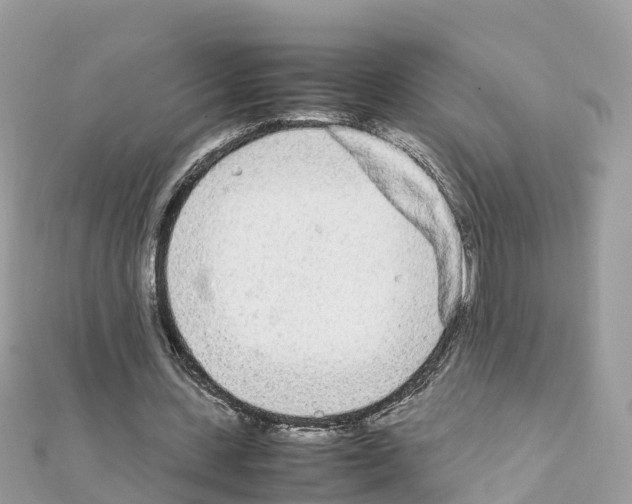 X0000111250531200908131209