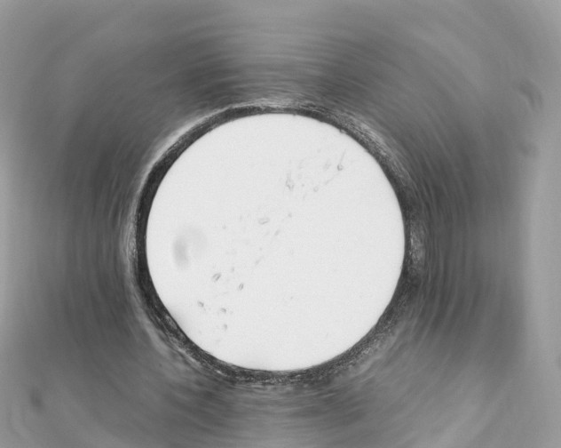 X0000111250532200908131209