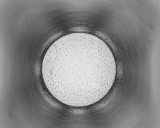 X0000111250533200908131209