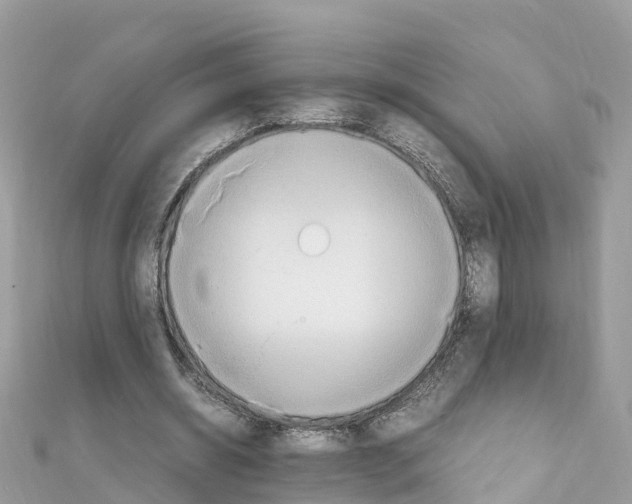 X0000111250534200908131209