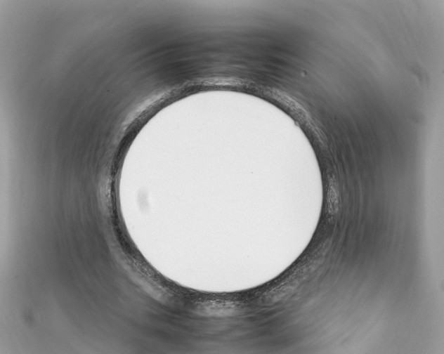 X0000111250535200908131209