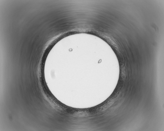 X0000111250536200908131209