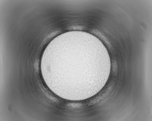 X0000111250537200908131209