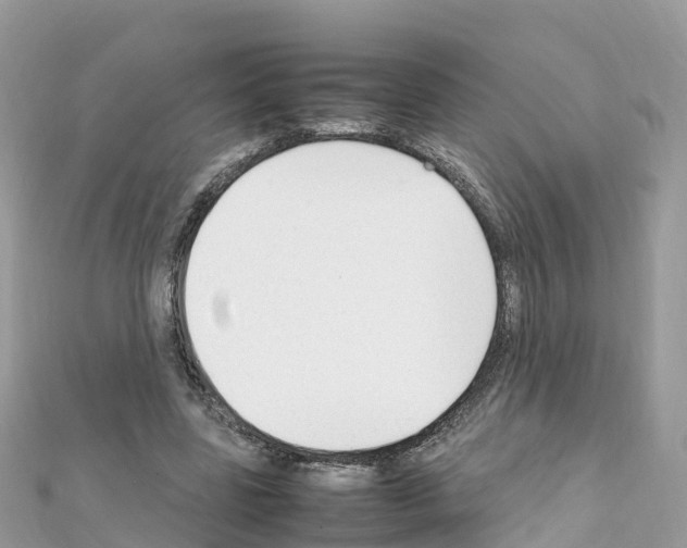 X0000111250539200908131209