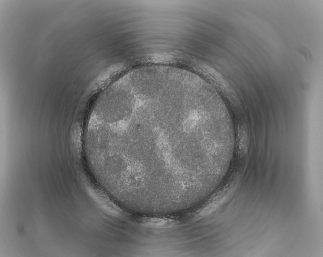 X0000111250542200908131209