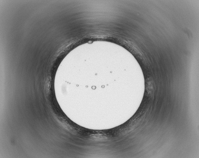 X0000111250544200908131209