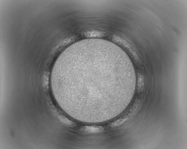 X0000111250545200908131209