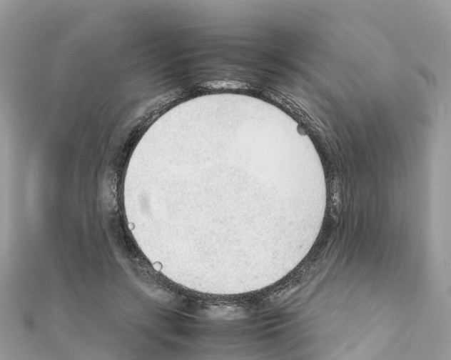 X0000111250547200908131209