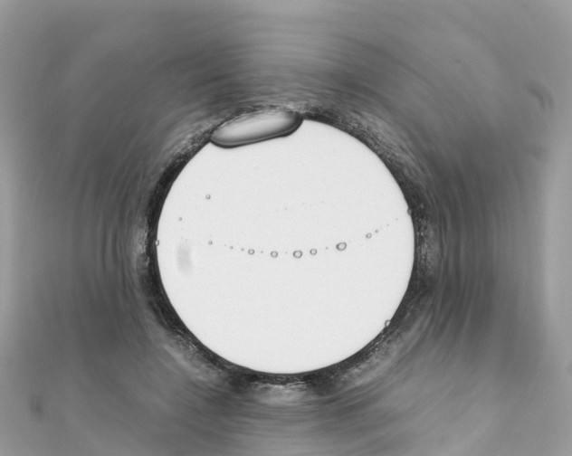 X0000111250548200908131209