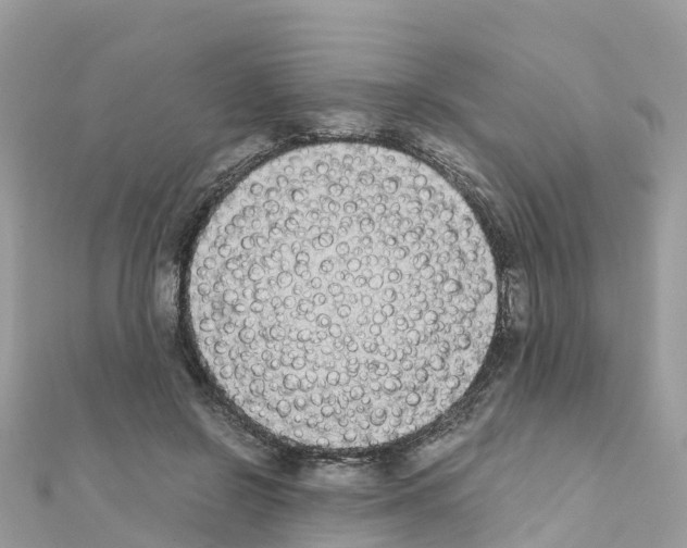 X0000111250550200908131209