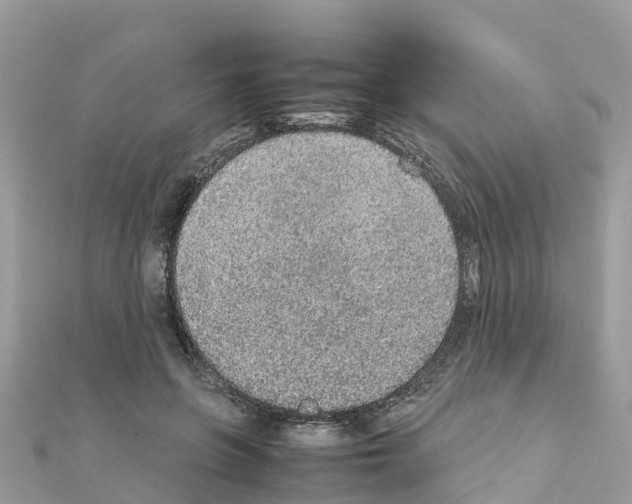 X0000111250551200908131209