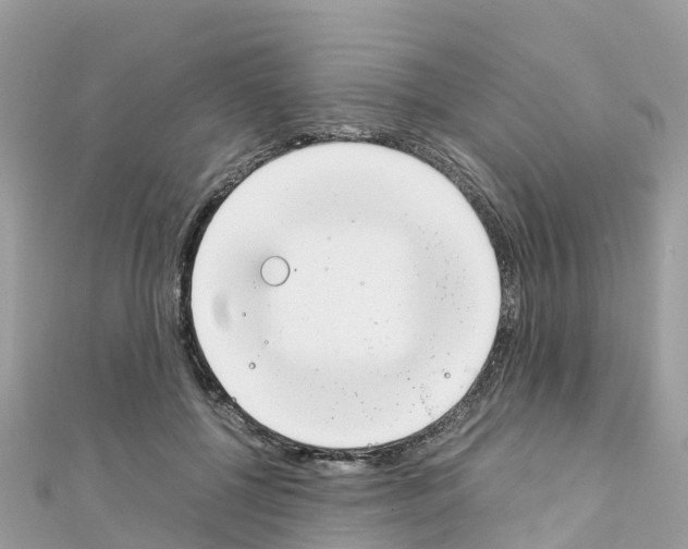 X0000111250552200908131209