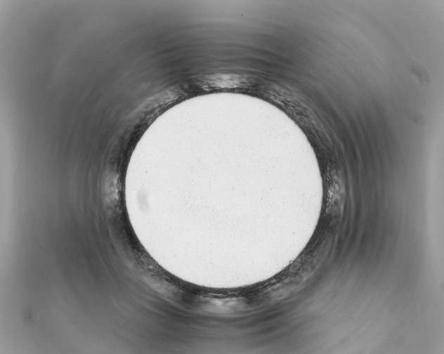 X0000111250555200908131210