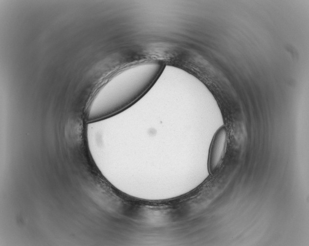 X0000111250556200908131210