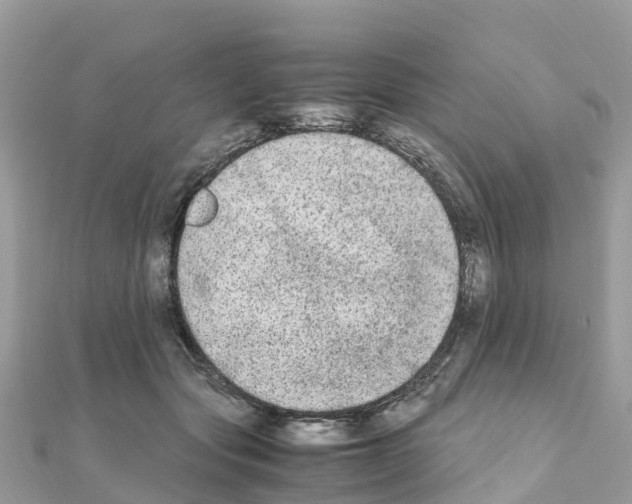 X0000111250557200908131210