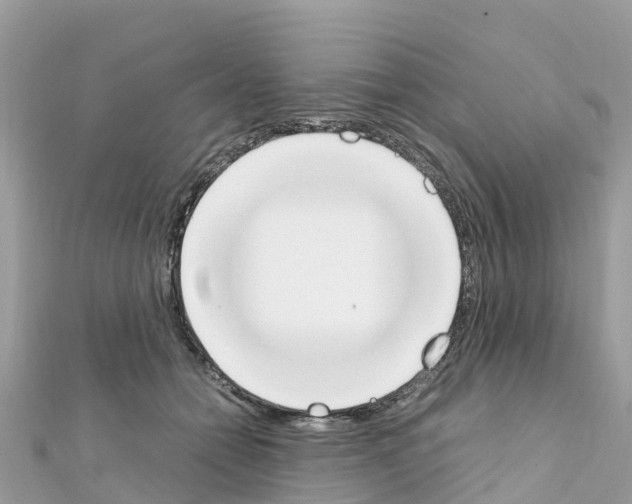 X0000111250558200908131210