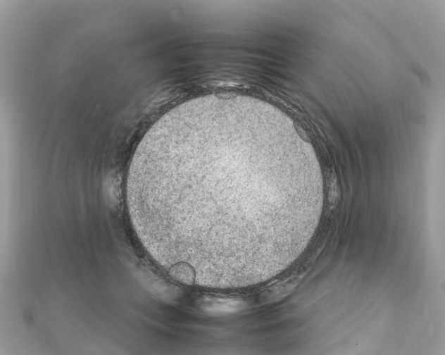 X0000111250559200908131210