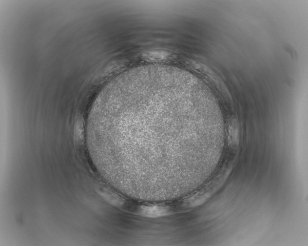 X0000111250561200908131210