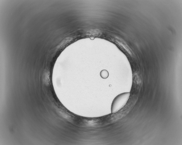 X0000111250564200908131210