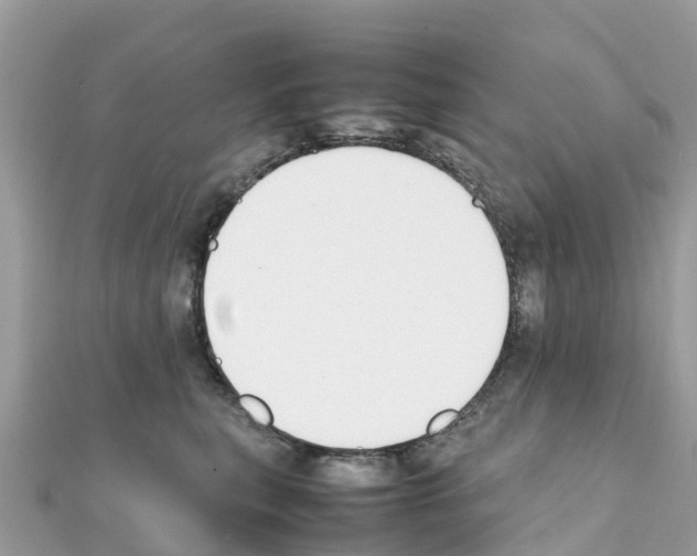 X0000111250567200908131210