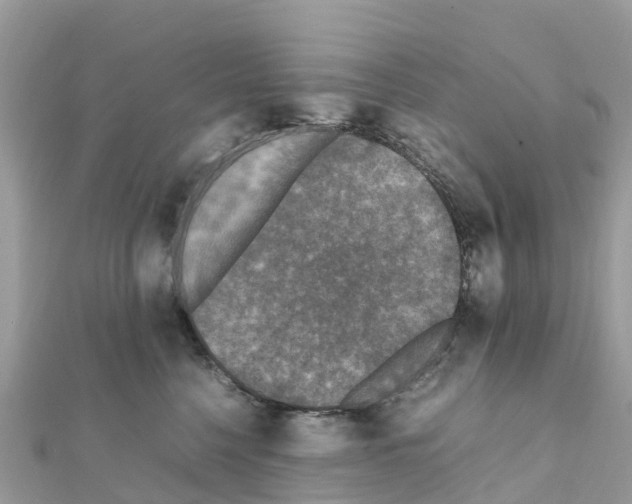 X0000111250568200908131210