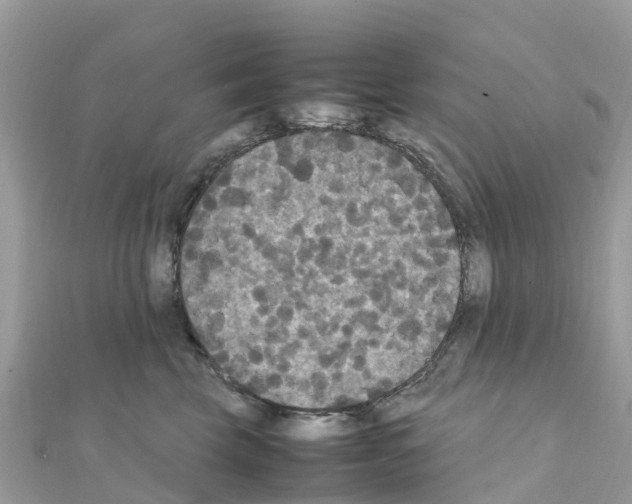 X0000111250569200908131210