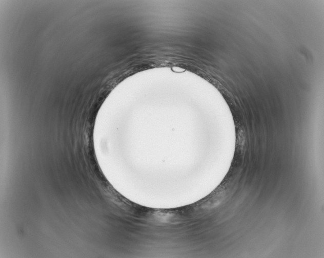 X0000111250570200908131210