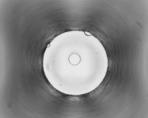 X0000111250572200908131210