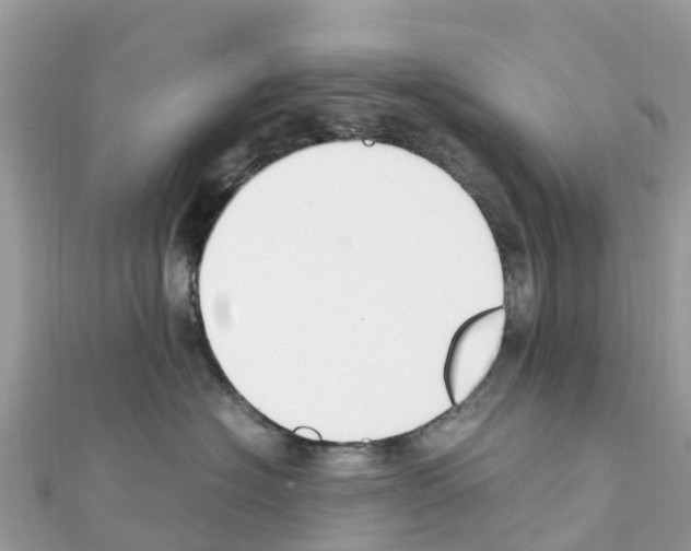 X0000111250574200908131210